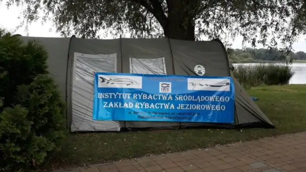 Namiot Instytutu Rybactwa Śródlądowego nad jeziorem sztumskim. Badania prowadzone są przez IRS.