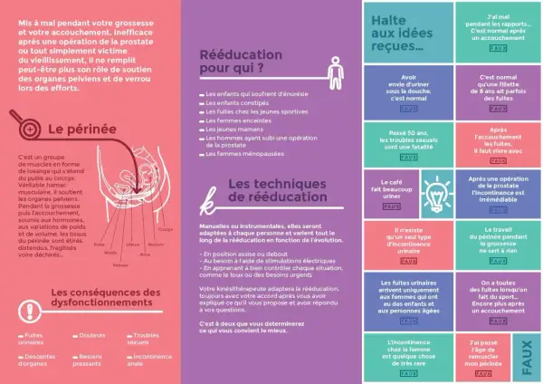 Le périnée, essentiel pour le soutien des organes, peut nécessiter une rééducation chez la femme après accouchement ou à tout âge.