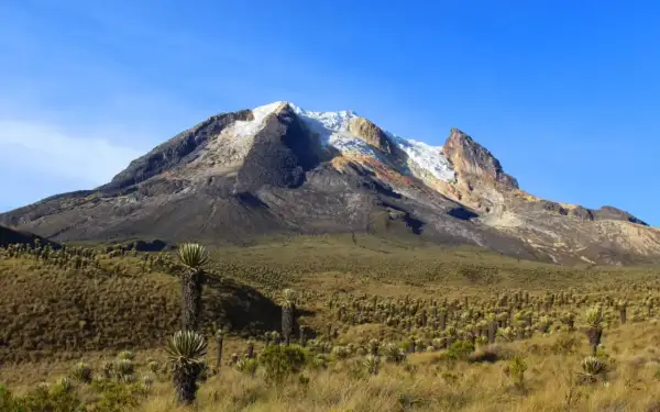 Paysage de haute montagne en Colombie, avec un volcan enneigé et une végétation unique de frailejones. Une invitation à la randonnée.