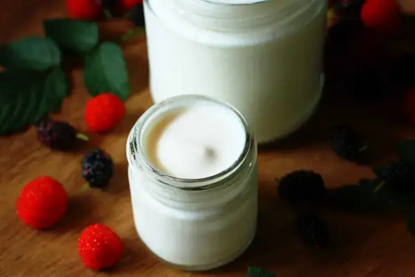 Dos frascos de yogurt casero cremoso, decorados con moras y hojas verdes. Una guía visual para aprender como hacer yogurt casero.