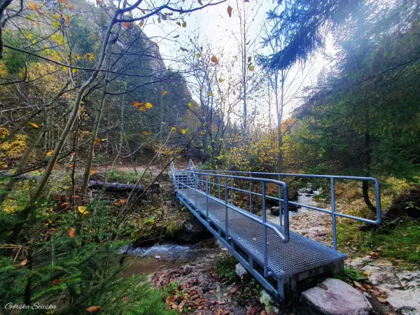 Mostek nad strumieniem w jesiennym wąwozie Homole. Idealny czas na przejście szlakiem.