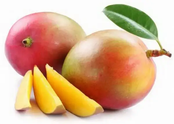 Czy mango tuczy? Odkryj prawdę o kaloriach i diecie!