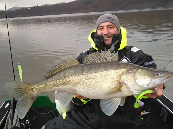 Glücklicher Angler hält einen großen Zander, gefangen im Edersee. Die Fische hier sind beeindruckend!