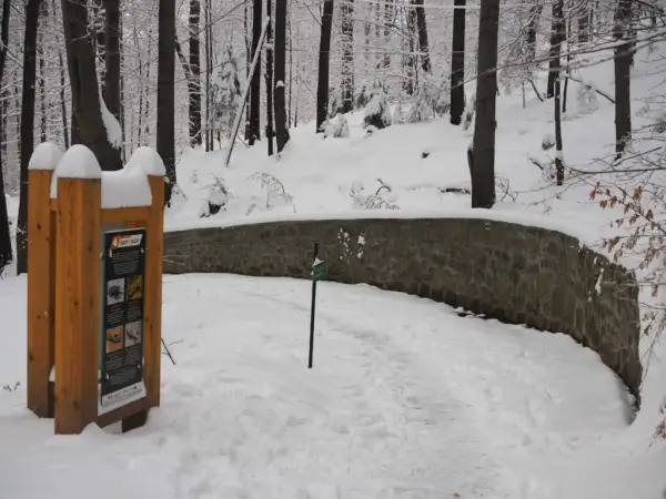 Jak dojechać na Kozią Górę? Szlaki, parkingi, wskazówki dla rodzin