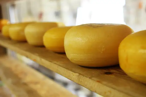 Formaggi tipici campani in lavorazione, rotondi e dorati, riposano su una mensola di legno, pronti per essere gustati.