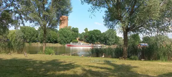 Gęsi spacerują po trawie nad jeziorem Gopło, gdzie pływa statek wycieczkowy. W tle widać wieżę.