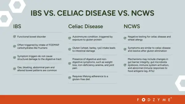 Porównanie IBS, celiakii i NCWS. Celiakia objawy: choroba autoimmunologiczna wywołana glutenem, prowadząca do uszkodzenia jelit i wymagająca diety bezglutenowej.