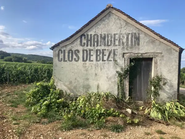 Capanna in vigneto con scritta "CHAMBERTIN CLOS DE BEZE", un nome che evoca il prestigio del **grand cru Borgogna**.