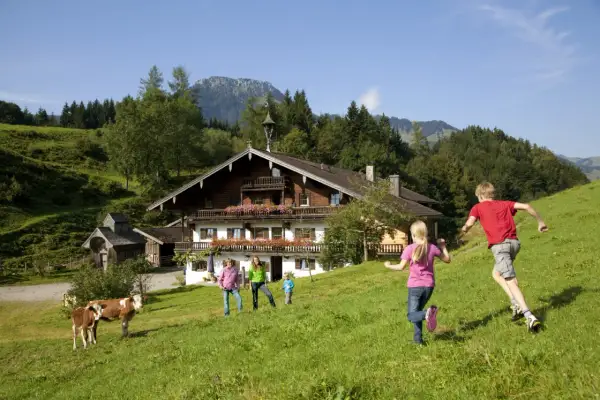 Kinder genießen ihre Ferien auf dem Bauernhof in Bayern. Kühe grasen vor einem traditionellen Holzhaus in den Bergen.