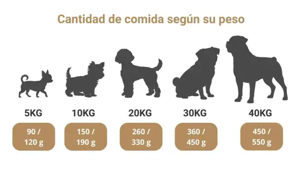 Siluetas de perros de diferentes tamaños, de 5 a 40 kg, con la cantidad de comida que comen según su peso.
