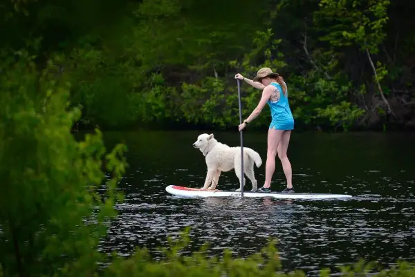 Une femme et son chien profitent d'une activité insolite : du paddle sur un lac entouré de verdure.