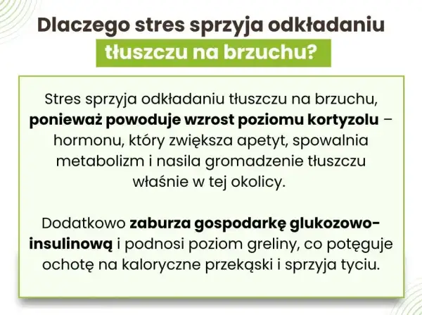 Co tuczy brzuch? Cukier, alkohol, stres jak z nimi walczyć?