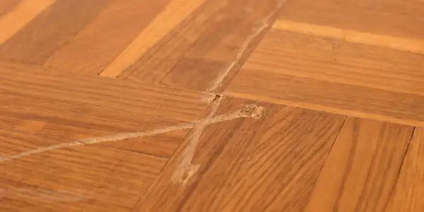 Parquet en bois vernis avec une rayure profonde et des éclats. Une tentative de réparer rayure profonde bois vernis est visible.