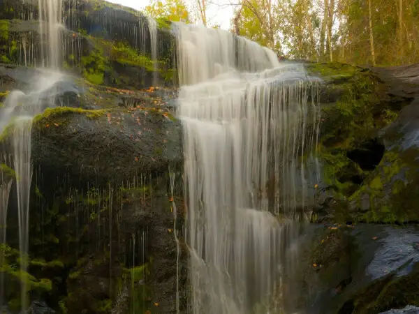 Cascada en los cañones del río Lozoya, con rocas cubiertas de musgo y hojas secas. El agua cae en velos blancos sobre la piedra oscura.
