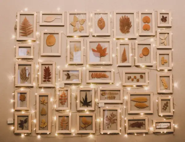 Collection de feuilles séchées encadrées, une belle idée peinture acrylique pour capturer la beauté de l'automne. Guirlande lumineuse ajoutant une touche chaleureuse.