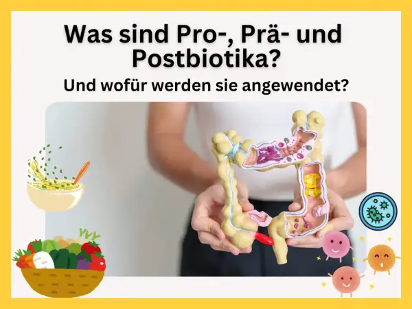 Ein Darmmodell wird gehalten, daneben eine Schüssel mit Essen und ein Korb voller Gemüse. Die Grafik erklärt, was präbiotika und probiotika sind.