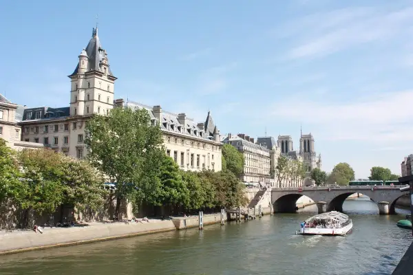 Bateau de croisière naviguant sur la Seine, passant sous un pont. Le quai de la photo est bordé d'arbres et de bâtiments parisiens.