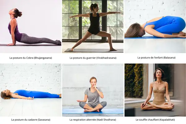Six postures de yoga, dont le Cobra et le guerrier, parfaites pour un yoga hivernal apaisant.