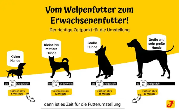Infografik zeigt, wie lange Welpenfutter für verschiedene Hundegrößen. Kleine Hunde bis 10 kg bis 6-9 Monate, mittlere bis 20 kg bis 12 Monate, große bis 40 kg bis 15 Monate, sehr große über 40 kg bis 20 Monate.