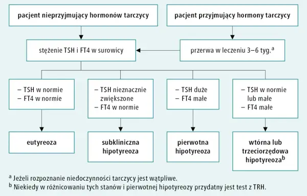 Schemat diagnostyki niedoczynności tarczycy. Czy przed badaniem TSH brać Euthyrox? Pacjent przyjmujący hormony tarczycy powinien zrobić przerwę w leczeniu.