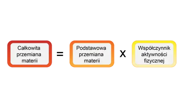 Diagram przedstawia: Całkowita przemiana materii, Podstawowa przemiana materii, Współczynnik aktywności fizycznej. To wyjaśnia, cpm co to.