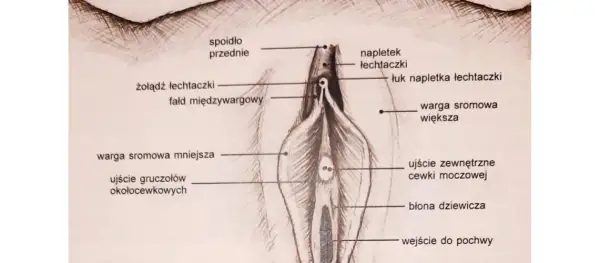 Labioplastyka nfz gdzie: Jak uzyskać refundację i uniknąć problemów