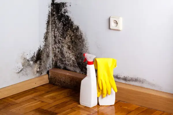 Angolo del bagno con estesa muffa nera. Accanto, prodotti per la pulizia e guanti gialli pronti all'uso.
