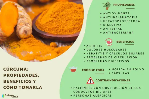 Raíz de cúrcuma y polvo dorado. La cúrcuma para la piel es un potente antioxidante y antiinflamatorio, ideal para mejorar la salud.