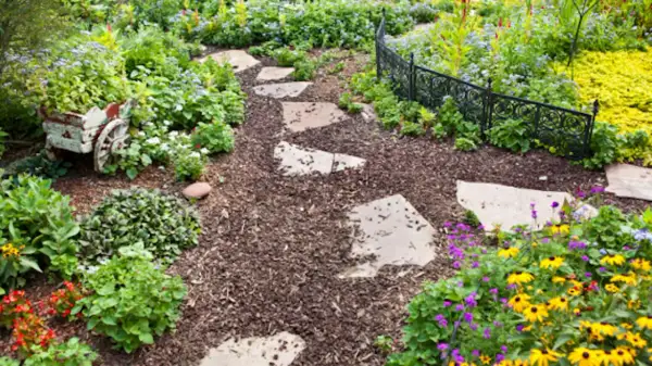 Sentiero in pietra attraverso un giardino fiorito, con pacciamatura che ne evidenzia il significato di cura e bellezza naturale.