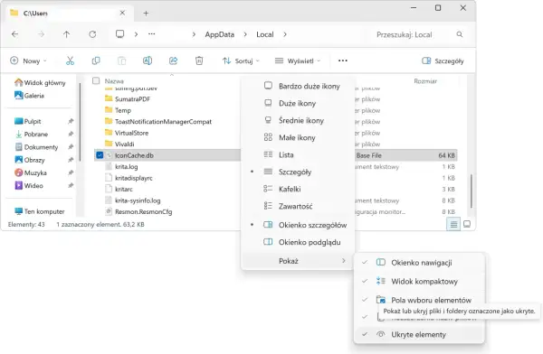 W Eksploratorze plików Windows, menu "Wyświetl" pokazuje opcje widoku. Wybrano "Szczegóły", a podmenu "Pokaż" zawiera opcje takie jak "Okienko nawigacji". Żądane zasoby są w użyciu.