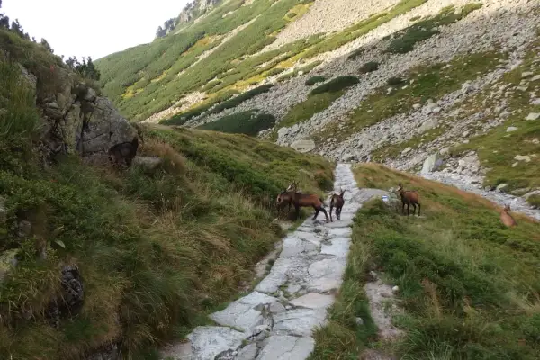Najtrudniejszy szlak w Tatrach: Orla Perć i jej wyzwania