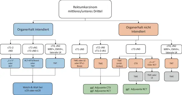 Flussdiagramm zu Rektumkarzinom Stadien: Organerhalt intendiert vs. nicht intendiert, mit Therapieoptionen je nach Tumorstadium (cT/cN).