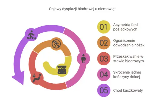 Grafika przedstawia objawy dysplazji biodrowej u niemowląt: asymetrię fałd, ograniczenie odwodzenia, przeskakiwanie w stawie, skrócenie kończyny i chód kaczkowaty.