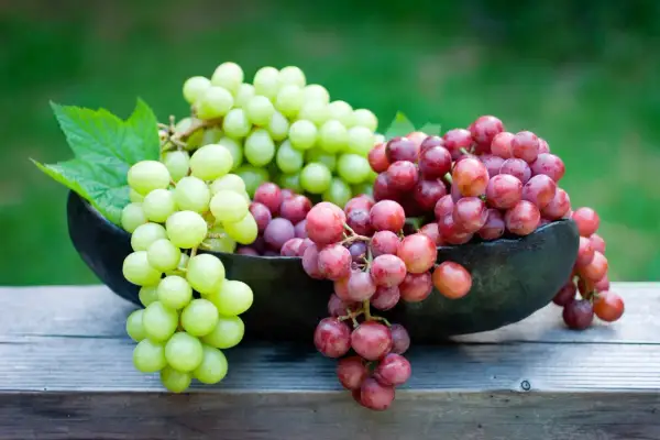 Grappoli di uva verde e rossa in una ciotola scura, su un tavolo di legno. Ricorda che l'uva è lassativa!
