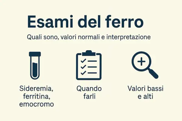 Esami del ferro: sideremia, ferritina, emocromo. Informazioni su ferro basso, sintomi donne, valori e interpretazione.