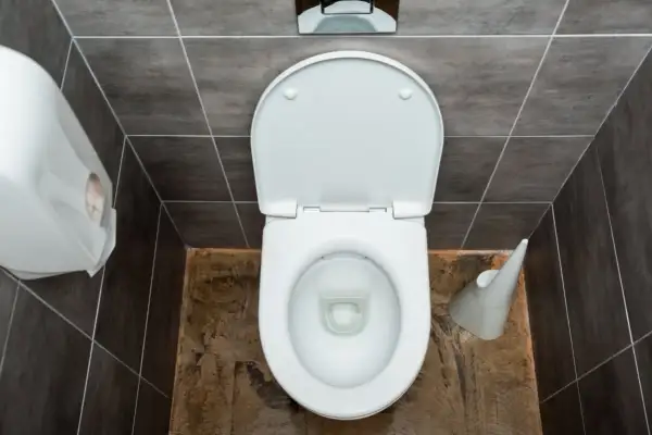 Vue plongeante d'une cuvette de WC blanche ouverte, avec un distributeur de papier à gauche. Le sanibroyeur fonctionne pour évacuer les déchets.
