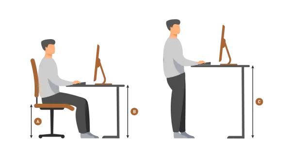 Illustrazione mostra un uomo seduto e in piedi al computer, con frecce che indicano le altezze. Aiuta a capire qual è l'altezza del piano di lavoro ideale.