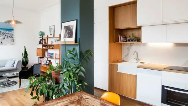 Piante rigogliose e una libreria in legno aiutano ad abbellire una colonna in questo soggiorno moderno con cucina a vista.