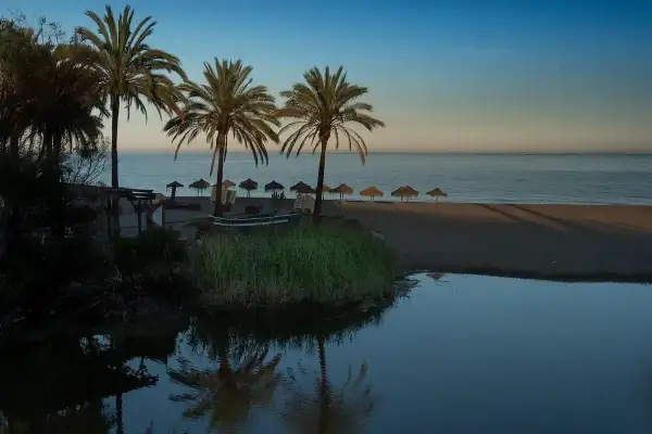Palmeras y sombrillas en la playa de Puerto Banús, Marbella. Un pequeño estanque refleja el cielo azul y la calma del mar.