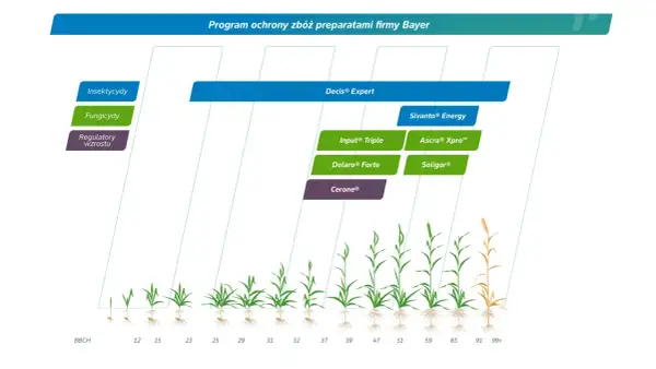 Program ochrony zbóż Bayer: Insektycydy, fungicydy (np. Input® Triple, Delaro® Forte) i regulatory wzrostu. Wykres pokazuje zastosowanie preparatów w różnych fazach rozwoju roślin.