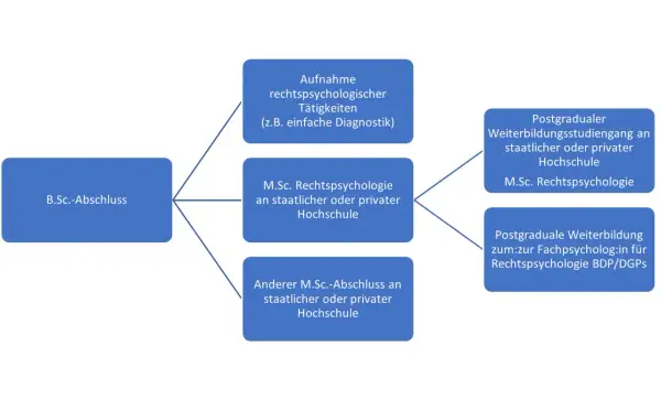 Flussdiagramm zeigt Wege zum forensische psychologie master: B.Sc. Abschluss führt zu rechtspsychologischer Tätigkeit oder M.Sc. Rechtspsychologie.