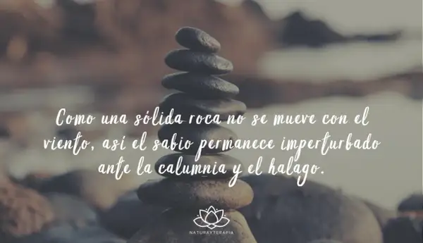 Piedras apiladas con frases de Buda: "Como una sólida roca no se mueve con el viento, así el sabio permanece imperturbado ante la calumnia y el halago.