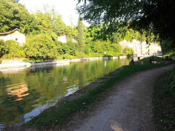 Sentiero lungo il canale, ideale per la ciclabile Peschiera Mantova. Vegetazione lussureggiante e riflessi sull'acqua.