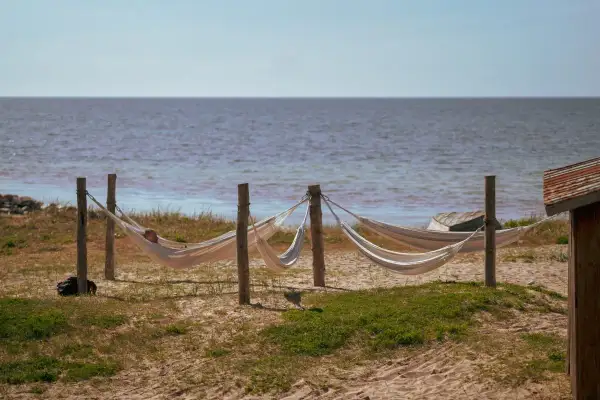 En person vilar i en hängmatta vid Tofta strand boende. Flera hängmattor hänger mellan träpålar vid havet.