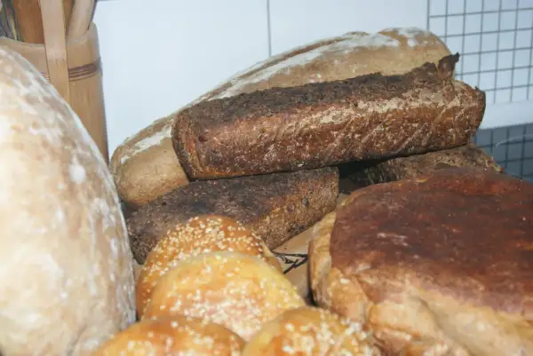 Różnorodne bochenki chleba, w tym ciemne żytnie i jasne pszenne. Zastanawiasz się, jaki chleb jest najzdrowszy? Oto kilka opcji do wyboru.