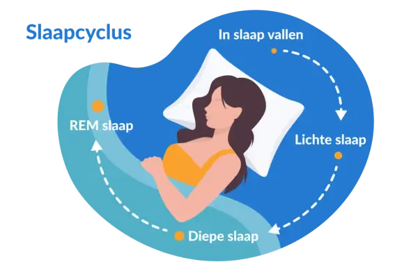 Illustratie van een vrouw die slaapt, met de slaapcyclus: in slaap vallen, lichte slaap, diepe slaap en REM slaap. Zelfs met 5 uur slaap doorloopt het lichaam deze fasen.