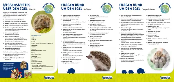 Ein niedlicher Igel sitzt auf einer Hand, umgeben von Informationen über den Igel-Kindergarten und Fragen rund um den Igel.