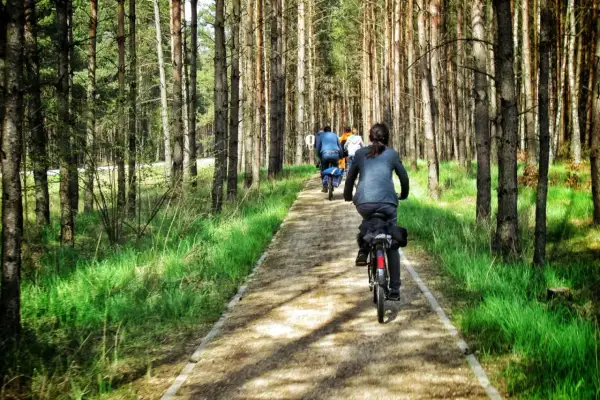 Grupa rowerzystów przemierza leśną ścieżkę, odkrywając uroki kaszubskiej marszruty.