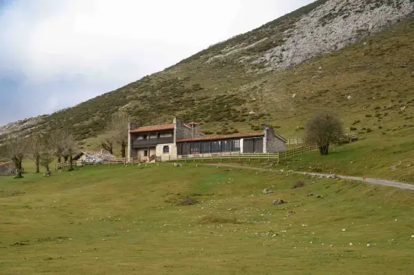 Edificio de piedra con tejado rojo en ladera verde. Un lugar donde se puede comer en los Lagos de Covadonga, con un camino y un árbol solitario.