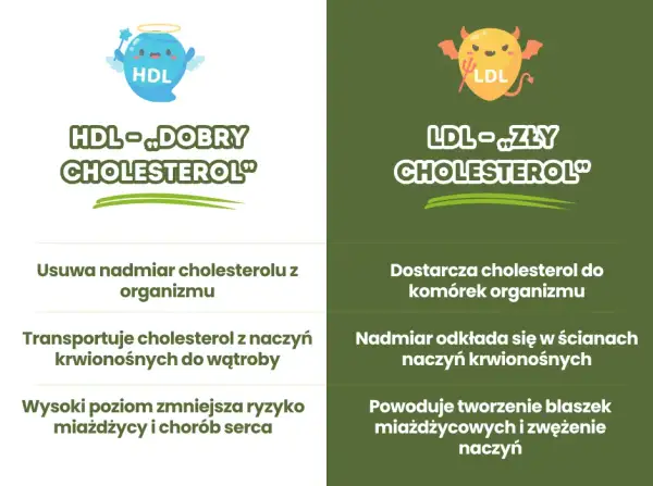 Jak obliczyć cholesterol LDL i uniknąć problemów zdrowotnych